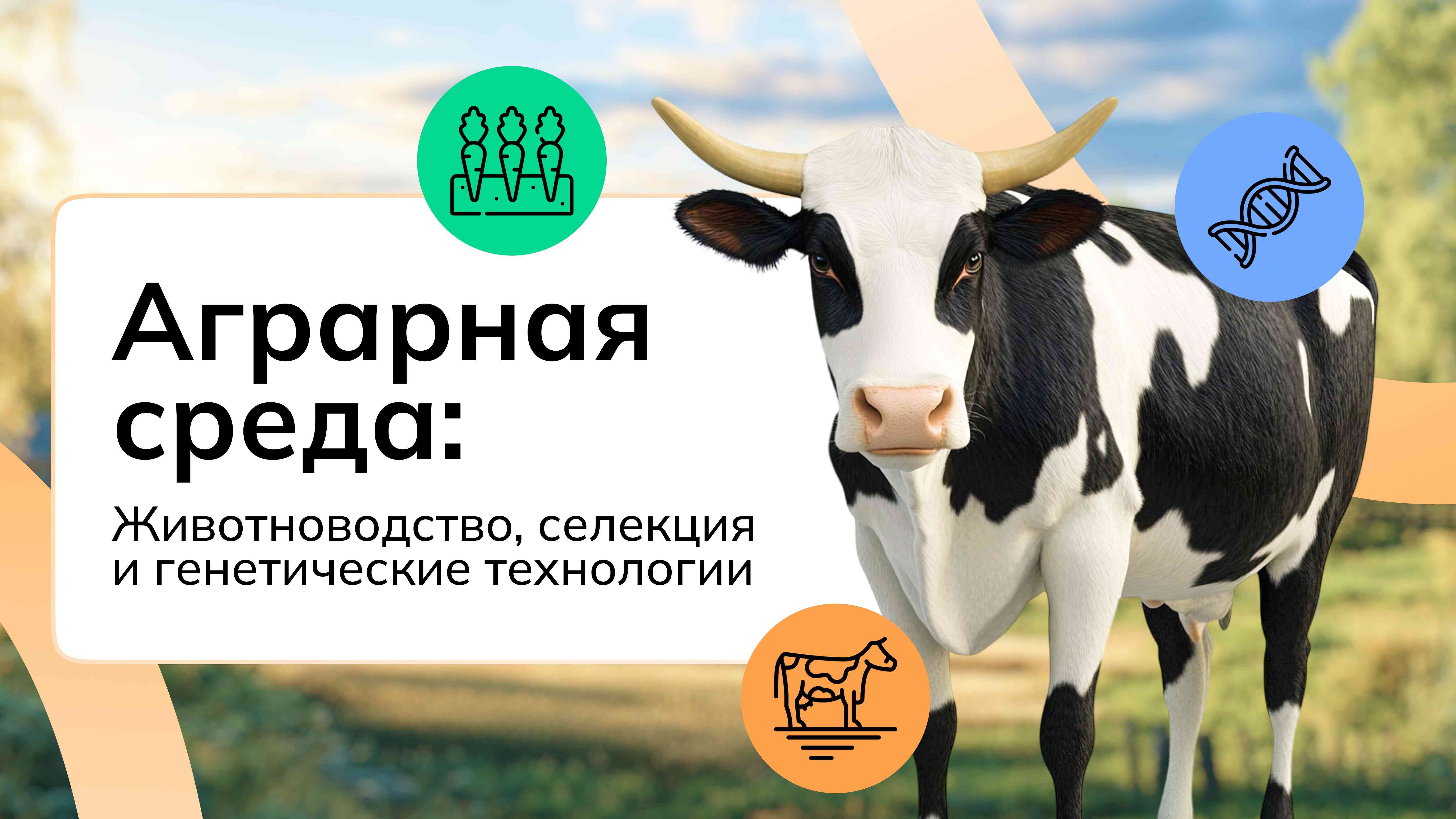 &amp;quot;Россия - мои горизонты&amp;quot;.